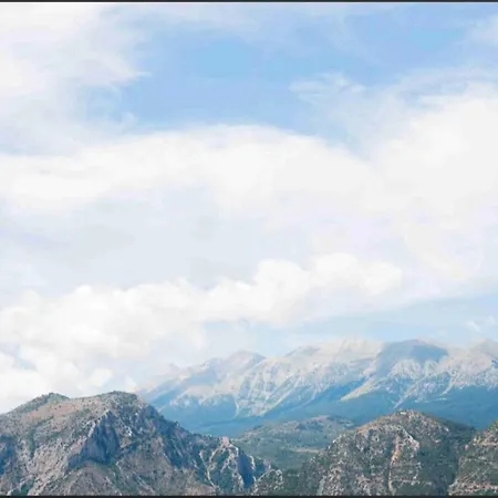 Daire View Anthias A3